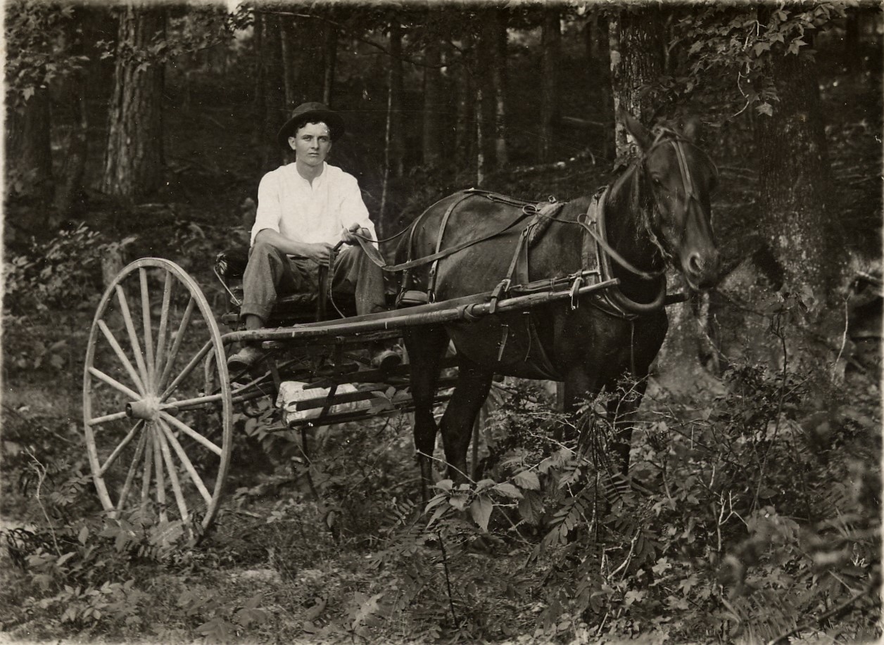 Union Parish Man & Horse